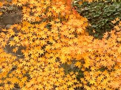 -狼山风景名胜区