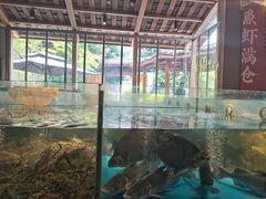 -耕渔小院·湖南鱼鲜(望城店)