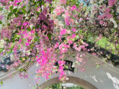 -深圳国际园林花卉博览园