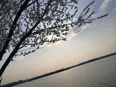 -丁香湖公园