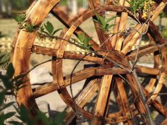 -济南国际园博园