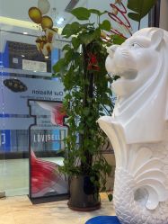 -洁铭新加坡医美