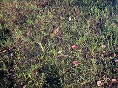 -星巴克(上海浦东禹悦汇店)