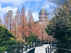 -南京城墙景区