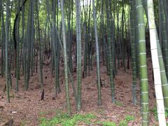 景点-穹窿山景区