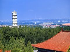 -龙口南山旅游景区