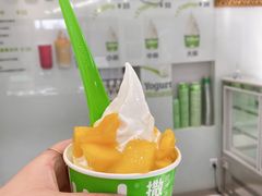 -Salud撒露欧洲冻酸奶(798艺术区店)