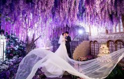 点击看大图 -维纳斯婚纱摄影(鞍山店)