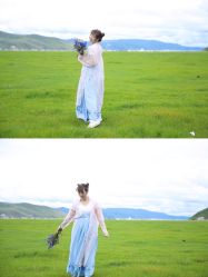 -纳帕海依拉草原