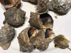 -渔民船说·北塘海鲜·天津菜·海肠捞饭(北塘古镇店)