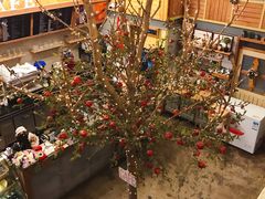-Cafe Alice咖啡爱丽丝(奥城店)