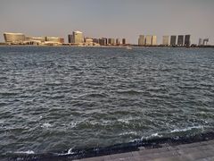 -五缘湾湿地公园