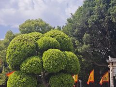 -建水文庙
