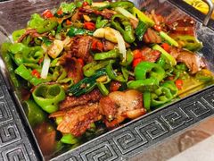 -邵年鸽(杨庄店)