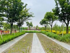 -春花秋色城市公园