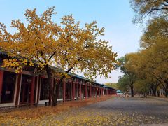 -野鸭湖国家湿地公园