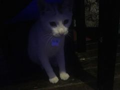 -星宿秘码(鼓浪屿老店)