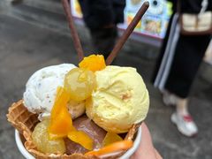 -iceason爱茜茜里·意大利健康冰淇淋(骑龙巷店)
