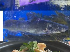 -八仔大富楼·河鲜(西江店)