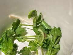 -同仁四季椰子鸡(罗湖国贸店)