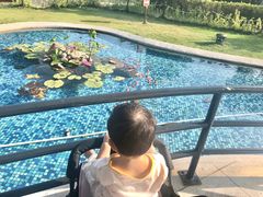 -芒洲湿地公园