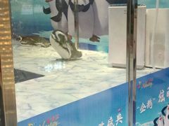 店内环境-高新·活力城Village