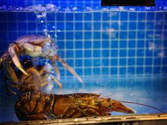 -大鹏饭店·金陵家宴(奥体中心店)