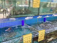 -坛南湾阿强农家乐.海鲜大排档老字号(福州地标美食店)