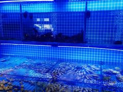 -義聚德·清真铜锅涮羊肉·烧烤(河东店)