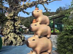 -大连森林动物园