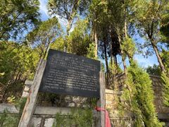 -四门塔风景区