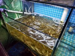 -面道赞宁海海鲜面(迎凤街店)