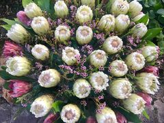 -南通洲际绿博园