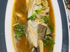 -前海沿·青岛菜(大拇指广场石老人店)