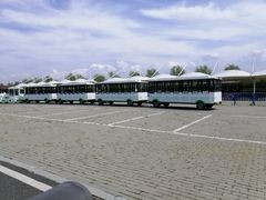 -呼兰河口湿地公园