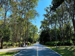 -中国科学院西双版纳热带植物园