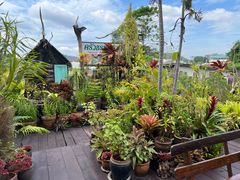 -自然餐厅(Phuket)