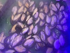 -阪尚皇·原切牛排·烤肉火锅自助(北京路店)