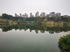 -东岳体育公园