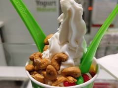 -Salud撒露欧洲冻酸奶(蓝色港湾店)