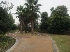 -府河摄影公园