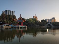 -金砂公园