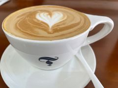 -Torch Coffee 炬点咖啡