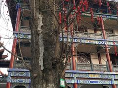 -章华寺