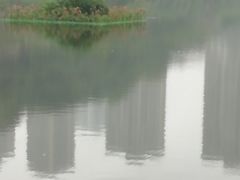 -重庆彩云湖湿地公园