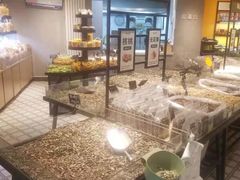 -树上坚果(瑞城店)