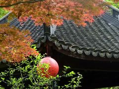 -上海醉白池公园