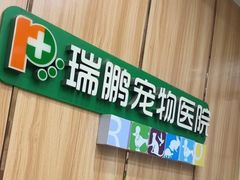 -瑞鹏宠物医院·夜间急症·心超·猫科(祖庙分店)