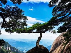-黄山风景区