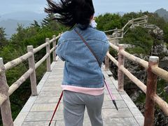 -牛背梁国家森林公园